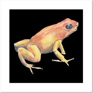 Tropical yellow frog Posters and Art